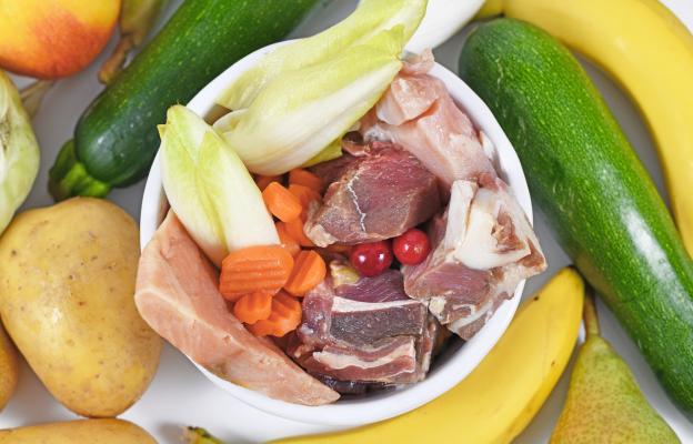 куче пробиотик