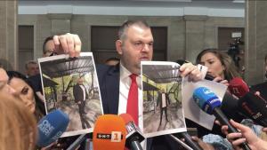 Делян Пеевски