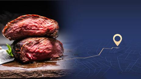 меса джи пи ес gps