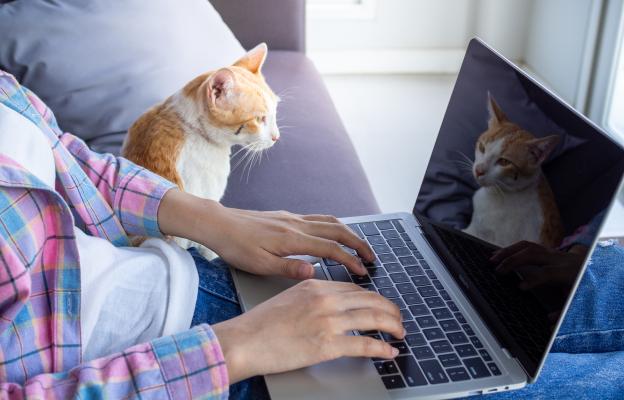 Жена работи до нея седи котка