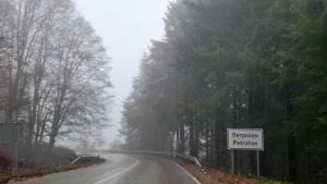 Записите на част от камерите които са монтирани в зоната