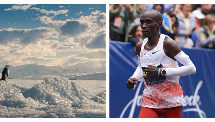 Елиуд Кипчоге - Звезда в маратона ще бяга на Антарктида