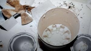 наркотици Бургас