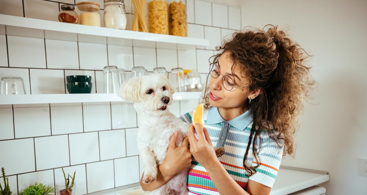 куче портокали