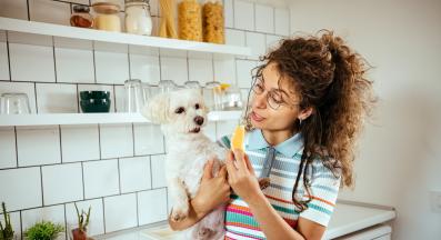 куче портокали