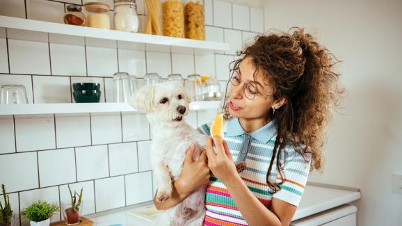 Можем ли да даваме на кучето си портокали