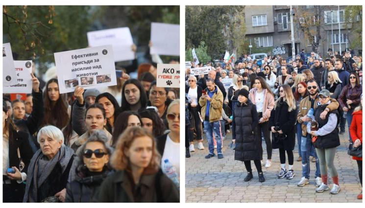 протест Мая