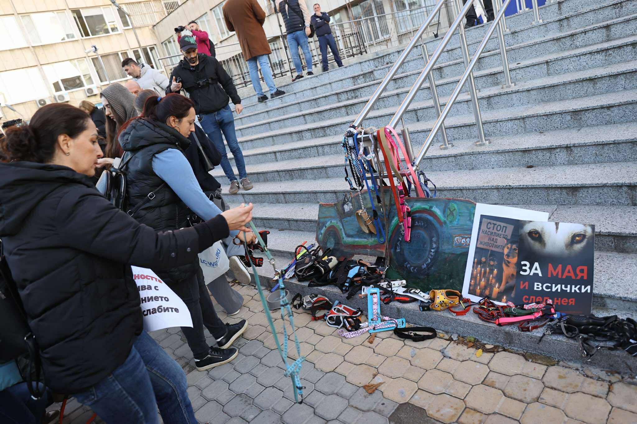 протест Мая