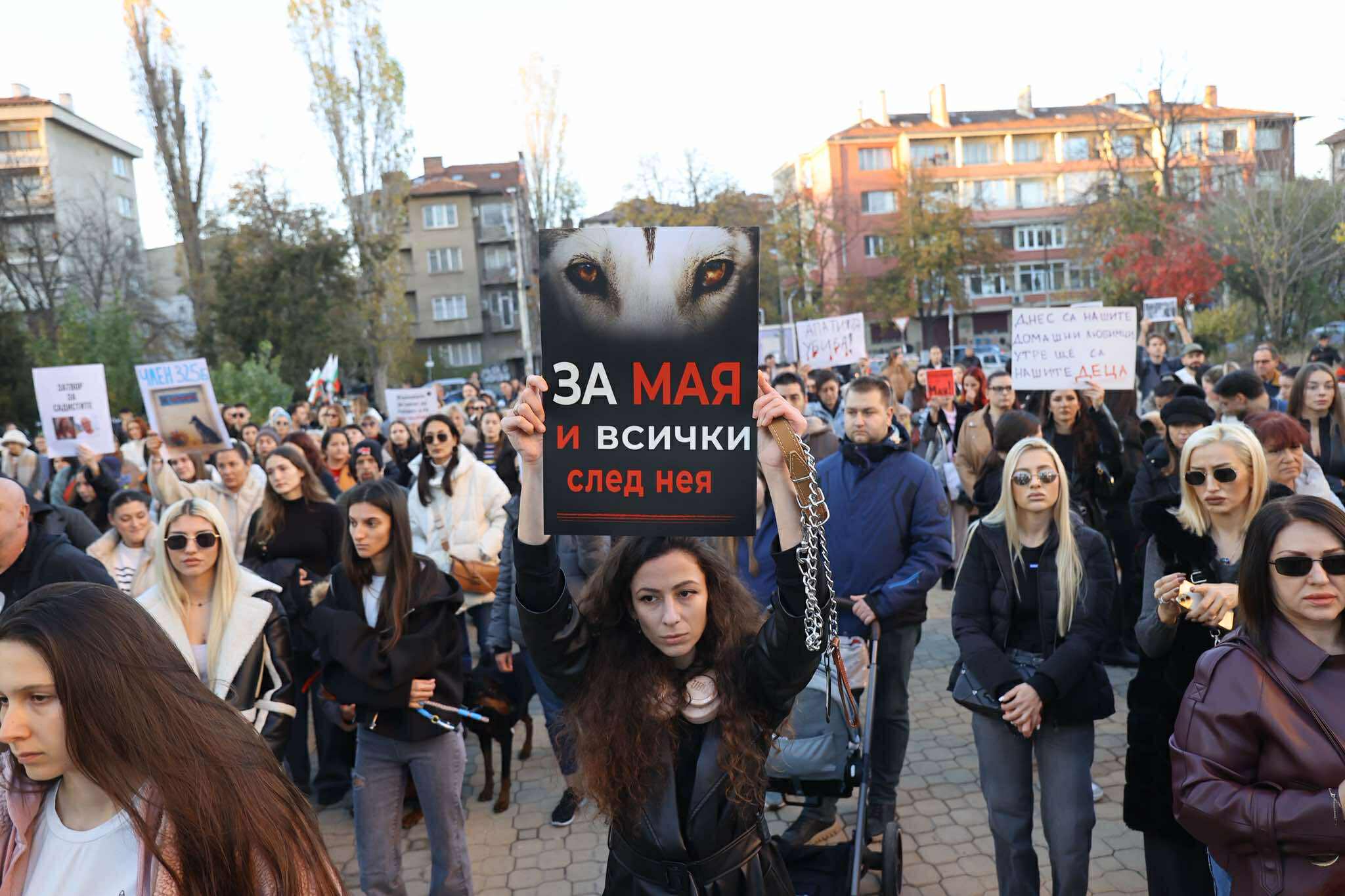 протест Мая