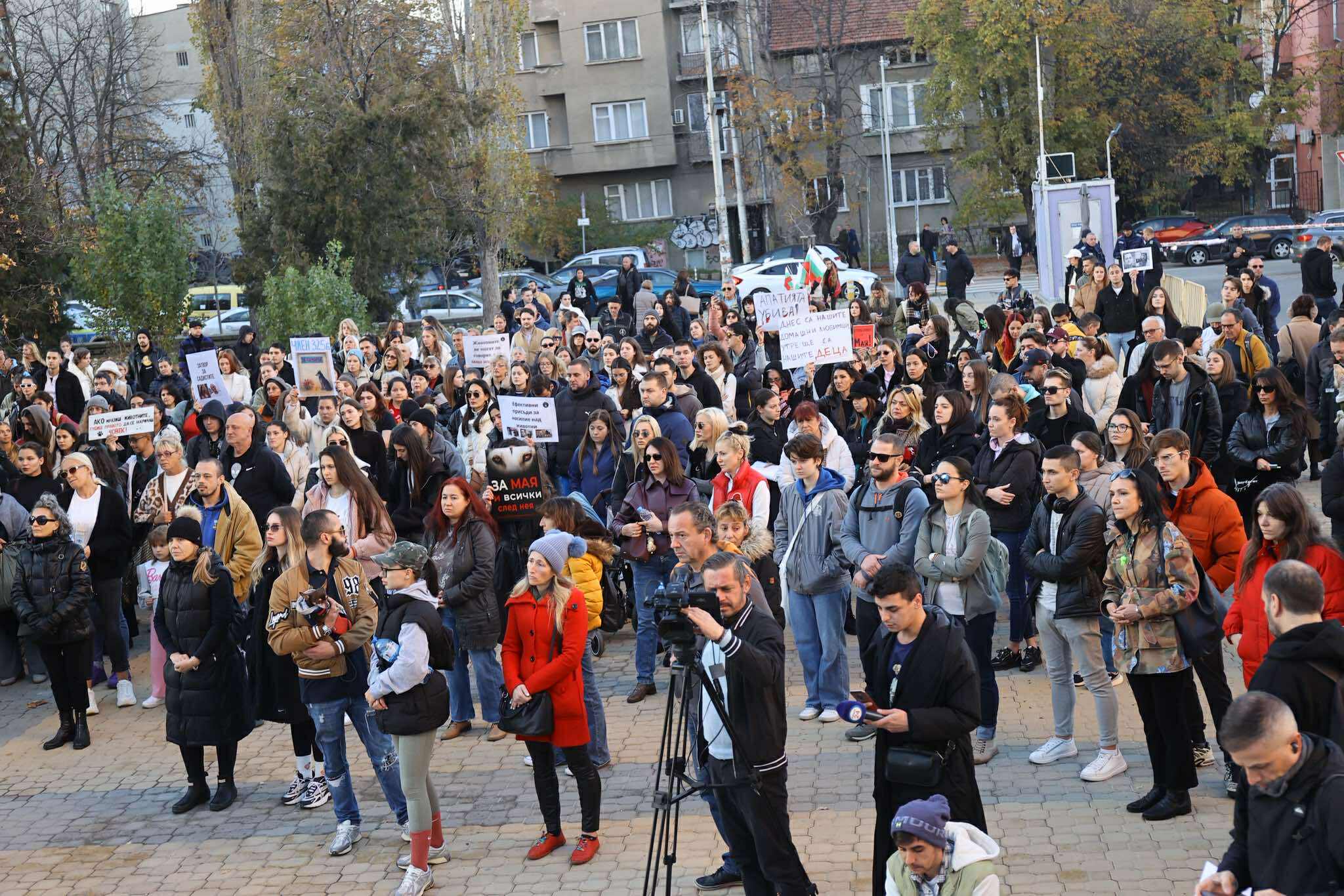 протест Мая