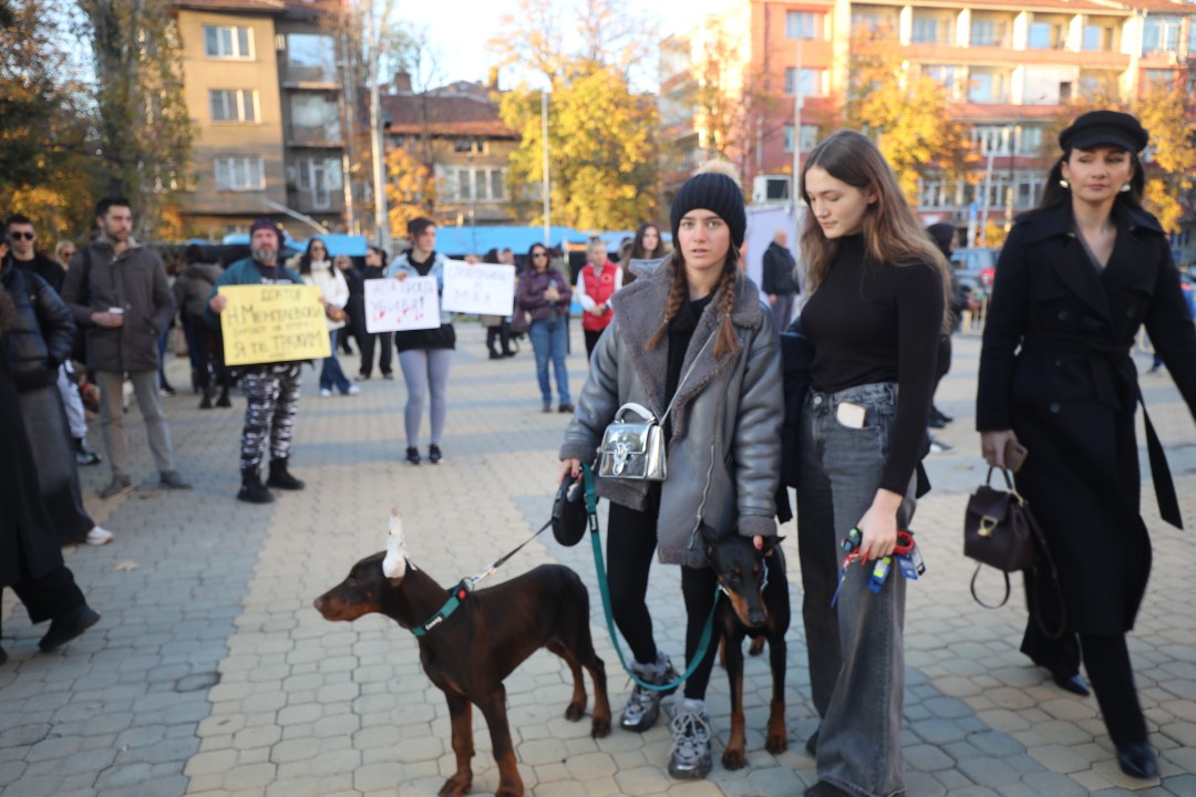 <p>Протест срещу насилието над животни се проведе пред ВМА. Протестът е организиран от &quot;Приятели на Мечо&quot; и &quot;Невидими животни&quot;. Повод за недоволството е прегазването на кучето Мая в София. Протестиращите искат &quot;Справедливост за Мая&quot;. Протестиращите настояват ВМА да уволни доктор Ненад Цоневски, който беше заснет да минава с автомобил през кучето пред гараж в квартал &quot;Разсадника&quot;.</p>