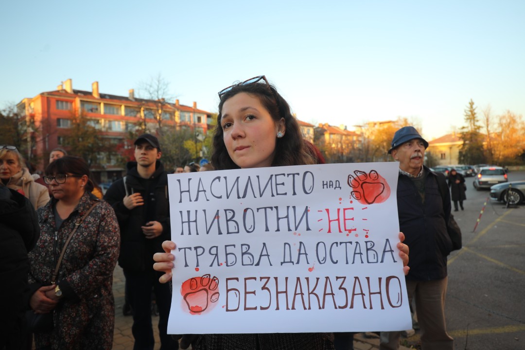 <p>Протест срещу насилието над животни се проведе пред ВМА. Протестът е организиран от &quot;Приятели на Мечо&quot; и &quot;Невидими животни&quot;. Повод за недоволството е прегазването на кучето Мая в София. Протестиращите искат &quot;Справедливост за Мая&quot;. Протестиращите настояват ВМА да уволни доктор Ненад Цоневски, който беше заснет да минава с автомобил през кучето пред гараж в квартал &quot;Разсадника&quot;.</p>