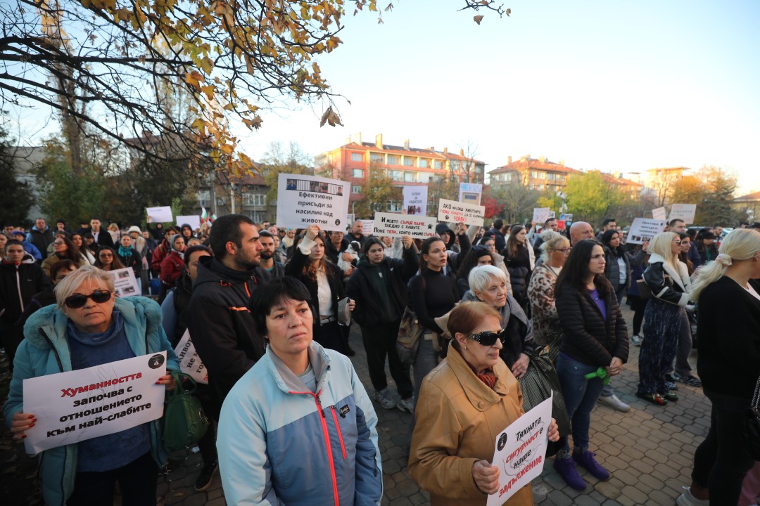 <p>Протест срещу насилието над животни се проведе пред ВМА. Протестът е организиран от &quot;Приятели на Мечо&quot; и &quot;Невидими животни&quot;. Повод за недоволството е прегазването на кучето Мая в София. Протестиращите искат &quot;Справедливост за Мая&quot;. Протестиращите настояват ВМА да уволни доктор Ненад Цоневски, който беше заснет да минава с автомобил през кучето пред гараж в квартал &quot;Разсадника&quot;.</p>