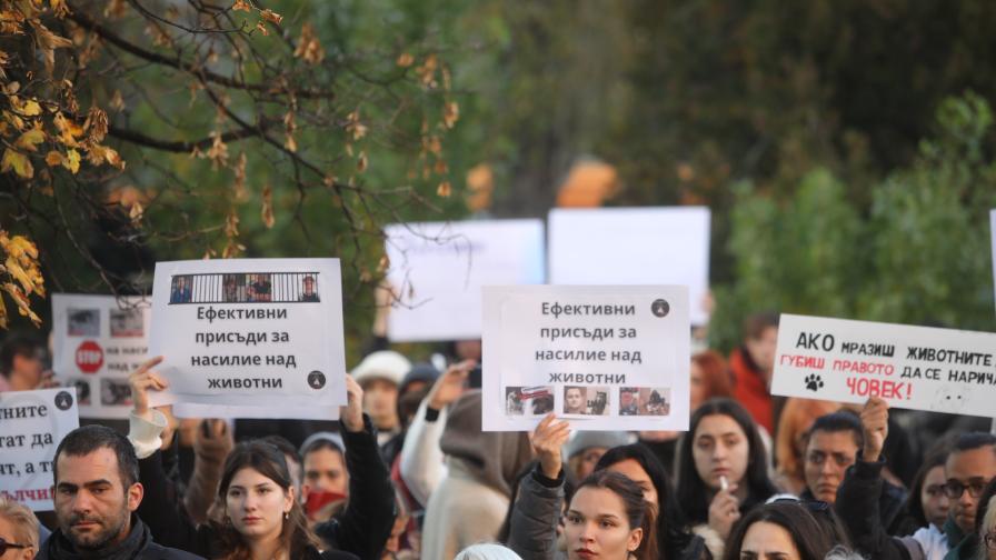 Протест пред НДК заради кучето Мая