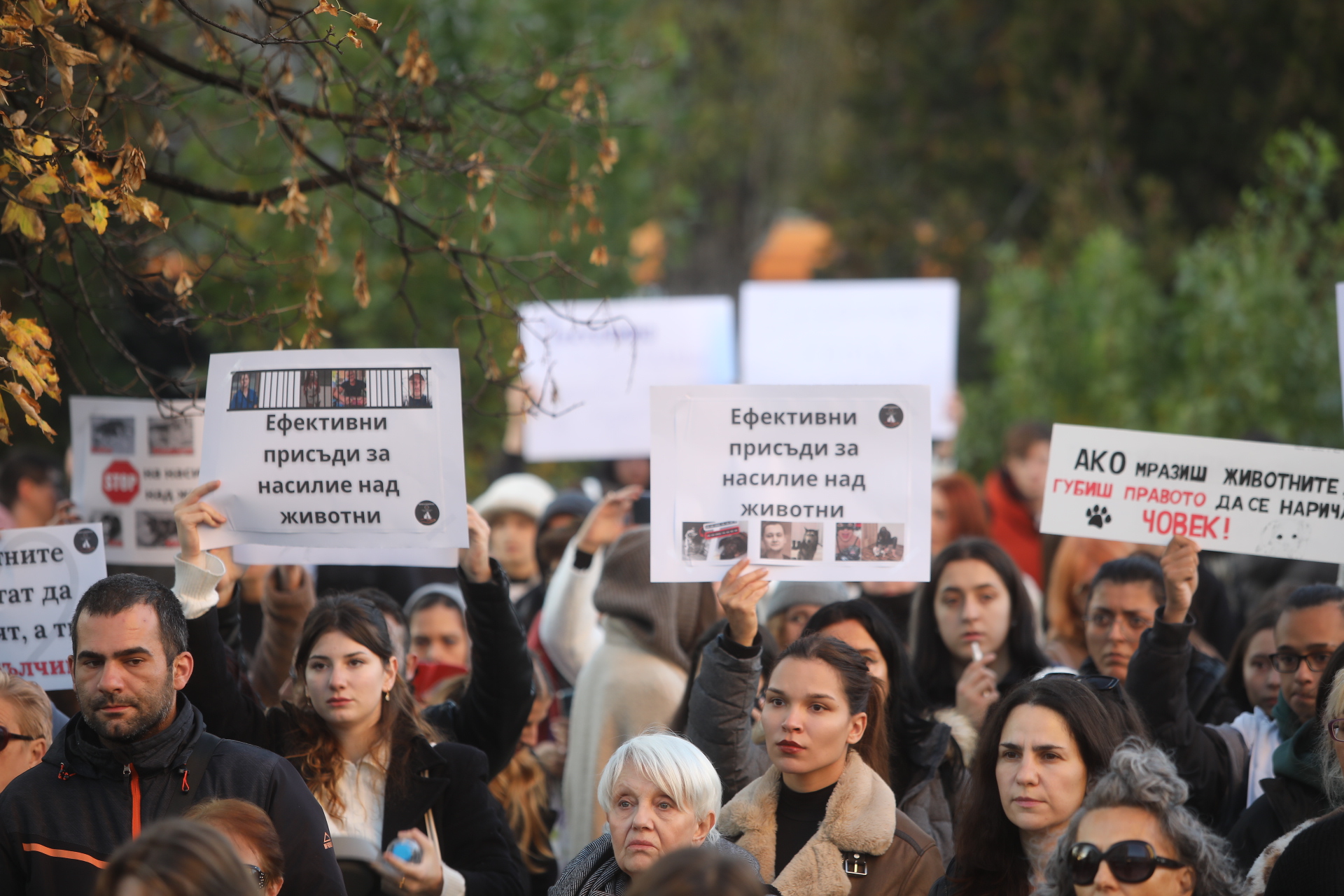 Протест пред НДК заради кучето Мая