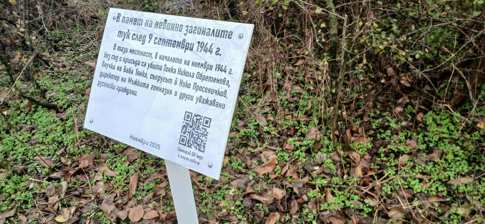 Баба Тонка потомци