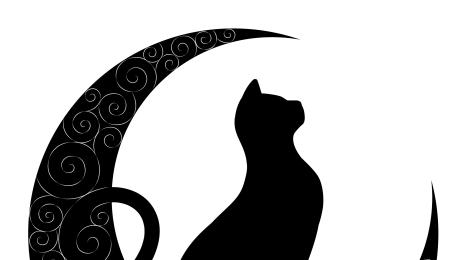 черна котка