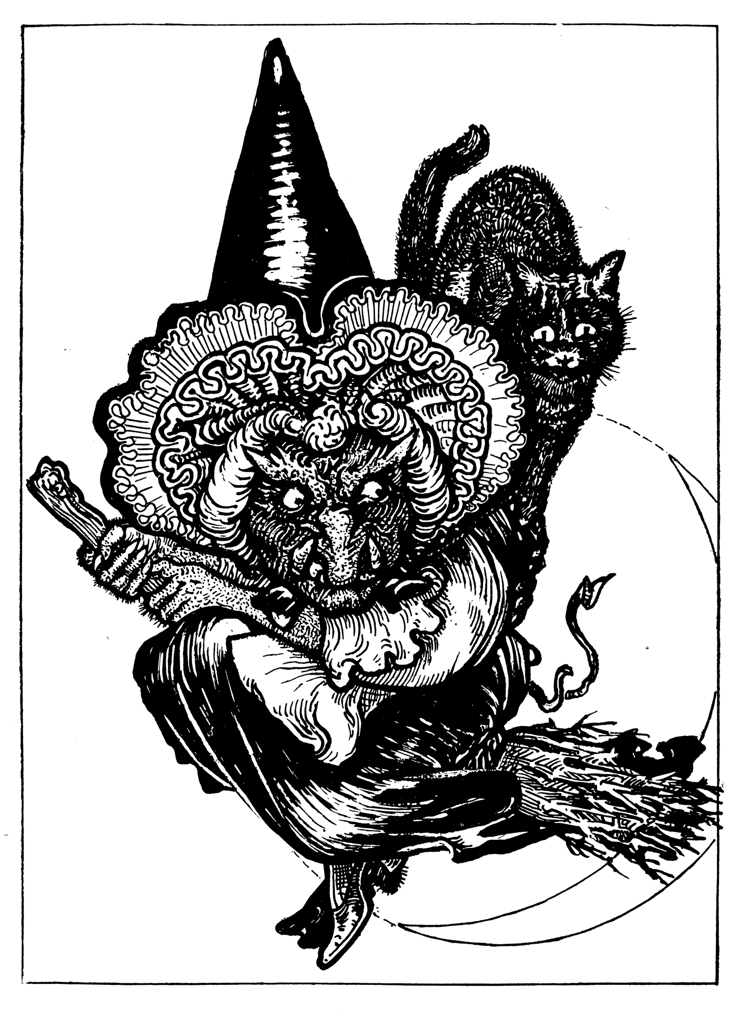 черна котка