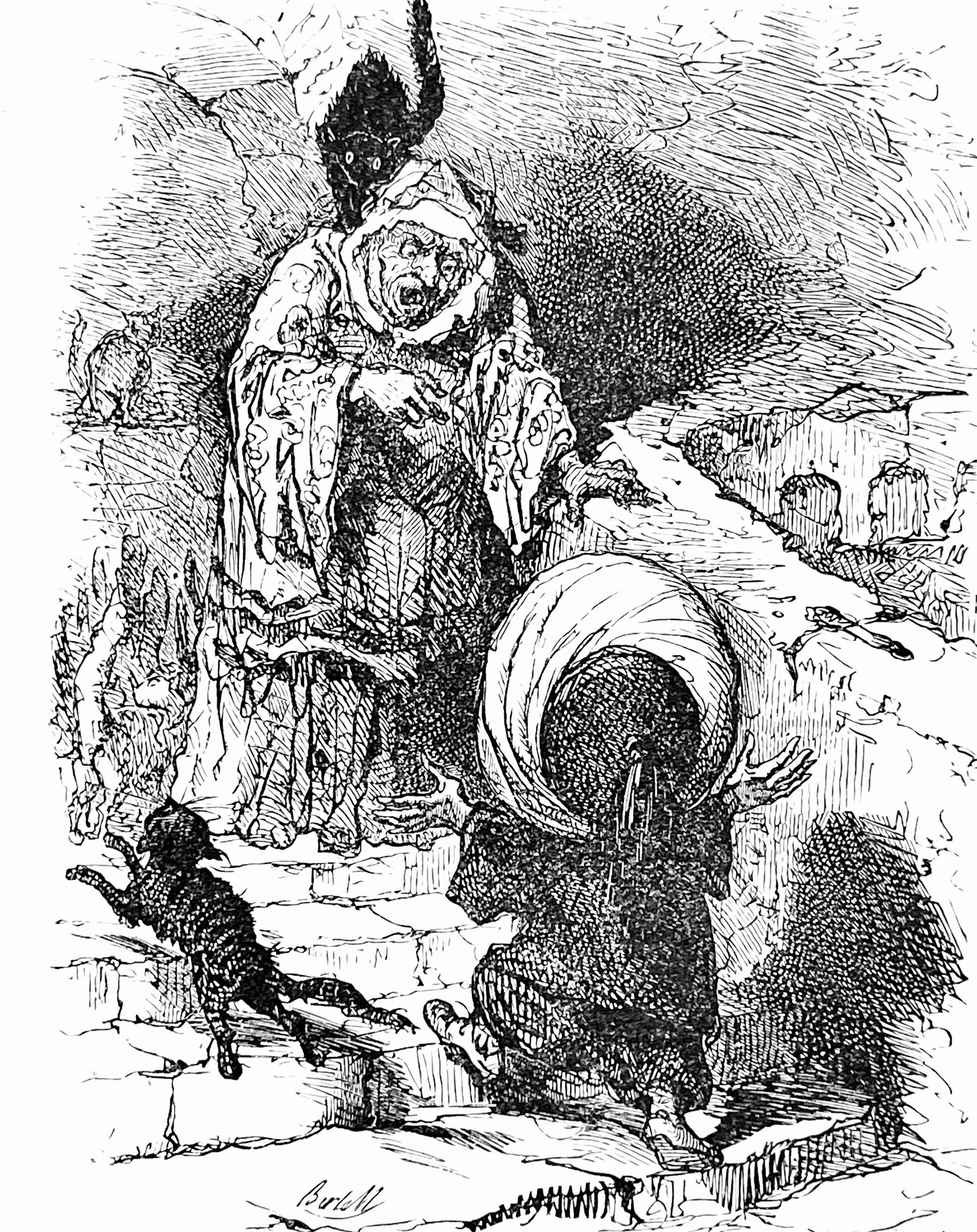 черна котка