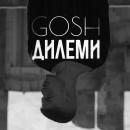 Gosh - Дилеми
