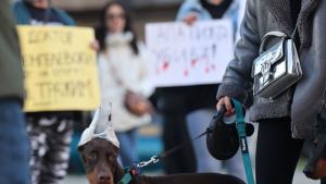 протест насилие животни