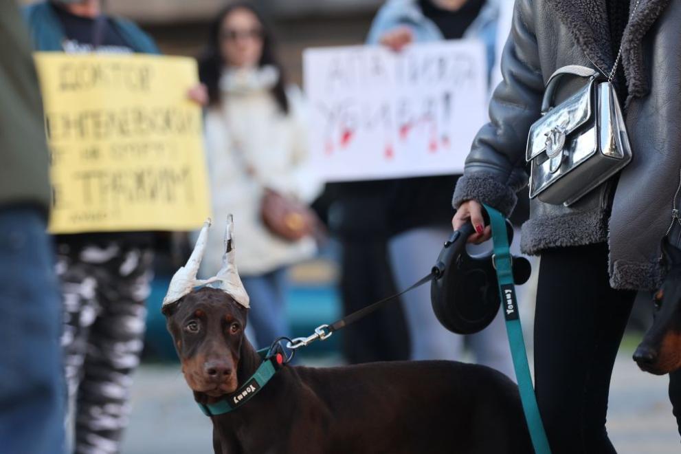 Протест срещу насилието над животни бе организиран пред Съдебната палата