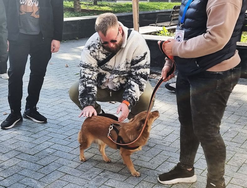 <p>Протест срещу жестокостта над животните се провежда на централния площад &bdquo;Независимост&ldquo; във Варна. Присъстващите поискаха ефективни наказания за проявилите насилие над четириноги - били те домашни любимци, или бездомни.</p>