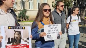 протест насилие животни Варна