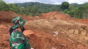 свлачище Индонезия