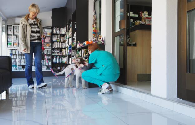 куче повръща