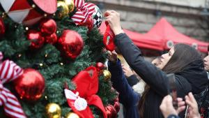 коледна елха София