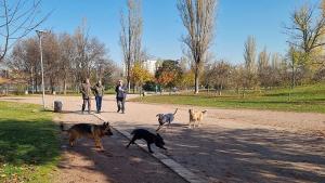 кучета парк