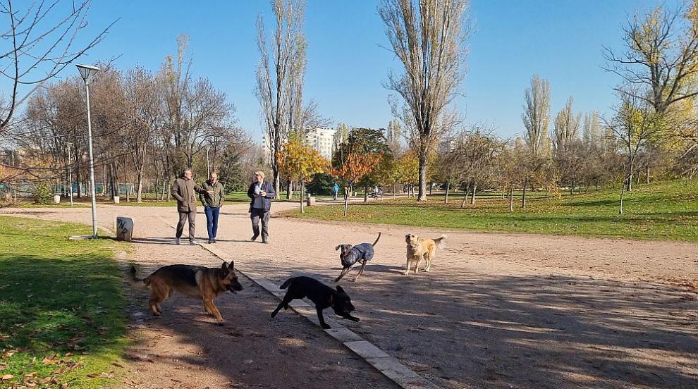 Правилата и санкциите за собствениците на кучета: Най-важното, което трябва да знаете