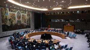 Съветът за сигурност на ООН