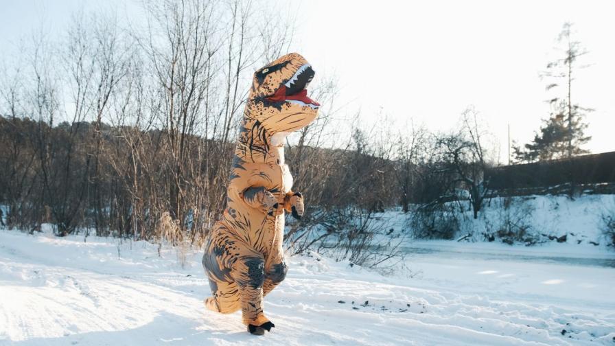 Булка каза "Да!" в надуваем костюм на динозавър (ВИДЕО)