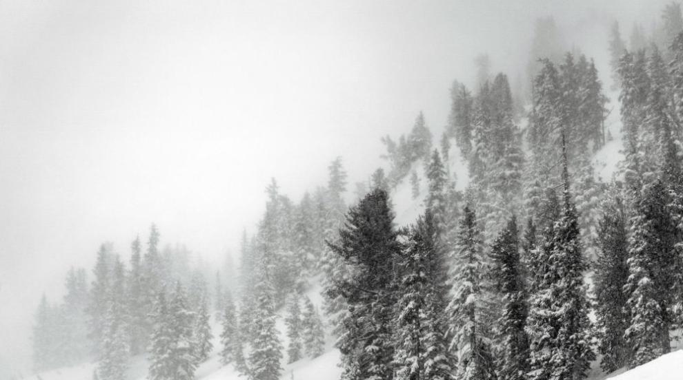 Петима чуждестранни туристи загинаха по време на снежна буря в Чили