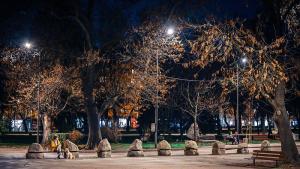 парк Заимов осветление