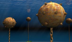 Нацистки бомби се превърнаха в подводни оазиси