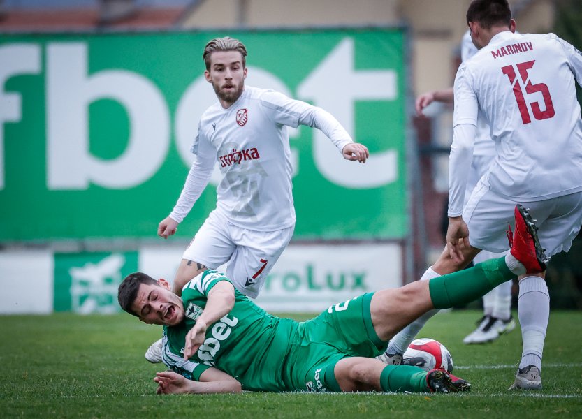 Пирин Фратрия1