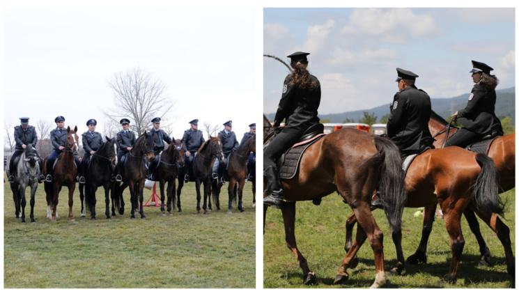 а - ЗА ПЪРВИ ДЕКЕМВРИ: Пускат на търг уморените коне на МВР!