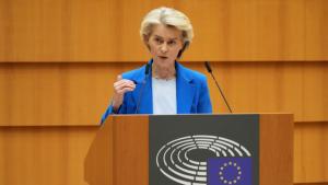 Фон дер Лайен