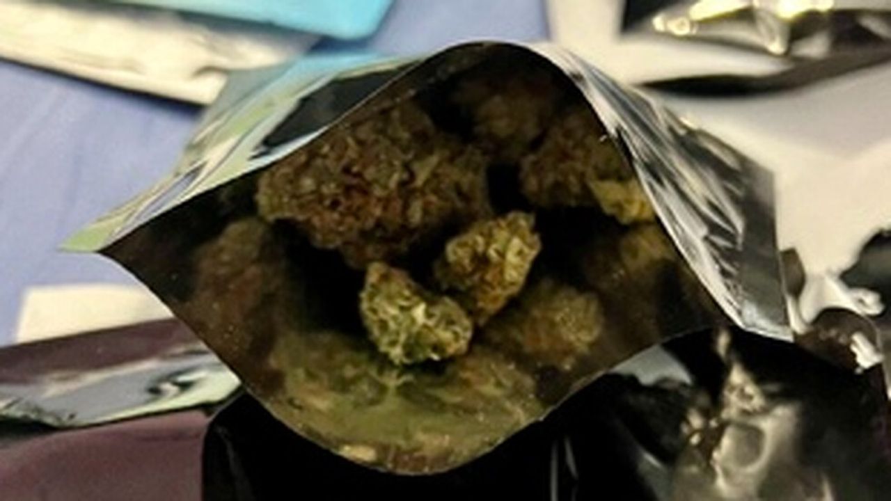 7 души арестувани за разпространение на над 30 кг марихуана в Стара Загора