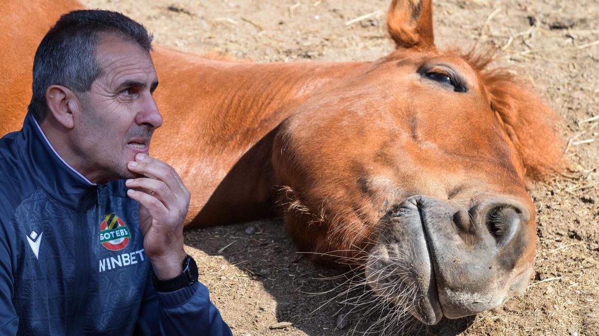 Димитър Димитров