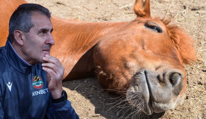 Димитър Димитров