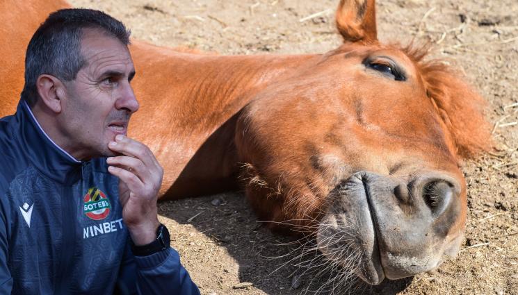 Димитър Димитров - Уморените коне ги убиват, нали?