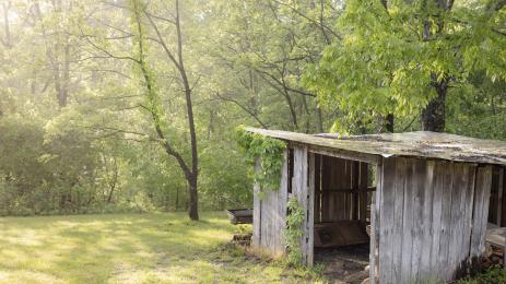 гора барака