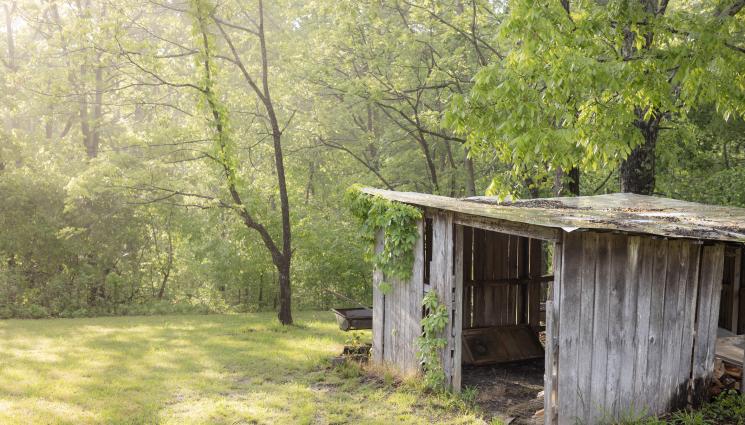 гора барака - Не връщат децата на двойката, живееща в гората без ток и вода