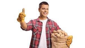 картофи картоф