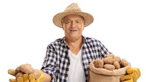 картофи картоф