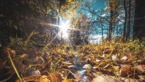 есен слънце